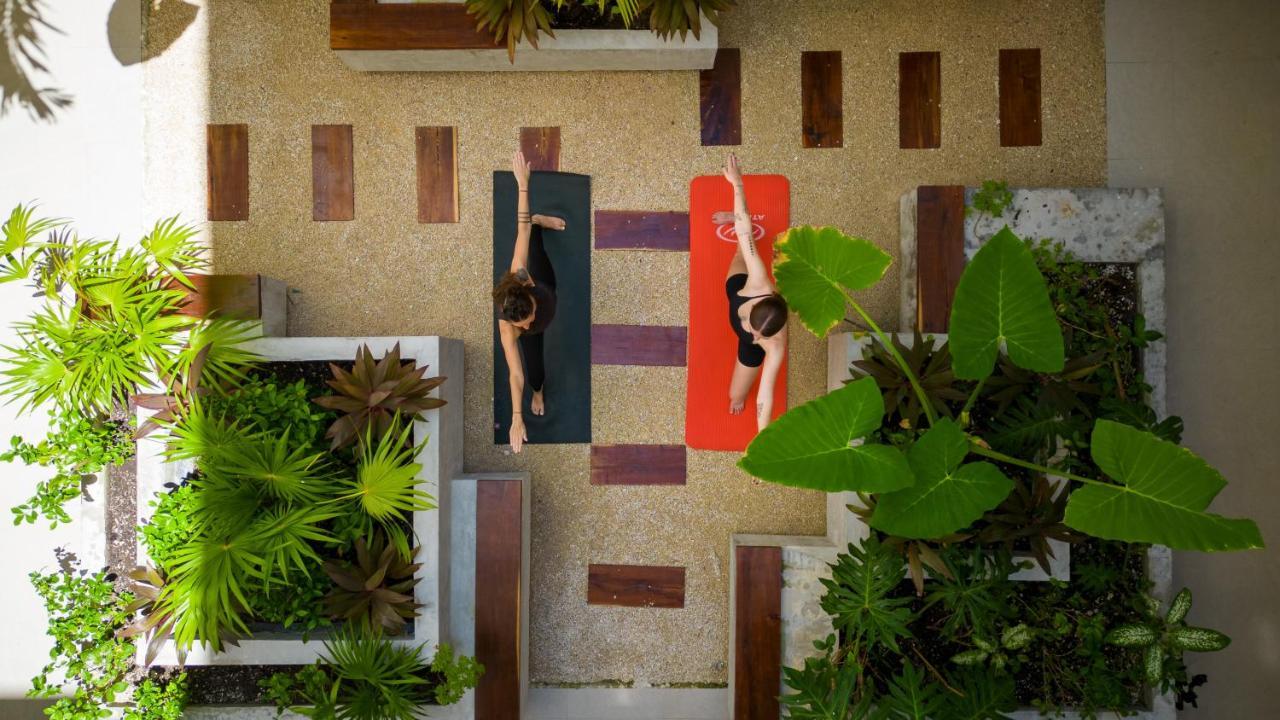 Fancy 3 Bedroom Apartments In Downtown Playa Rooftop Pool Gym Playa del Carmen Zewnętrze zdjęcie