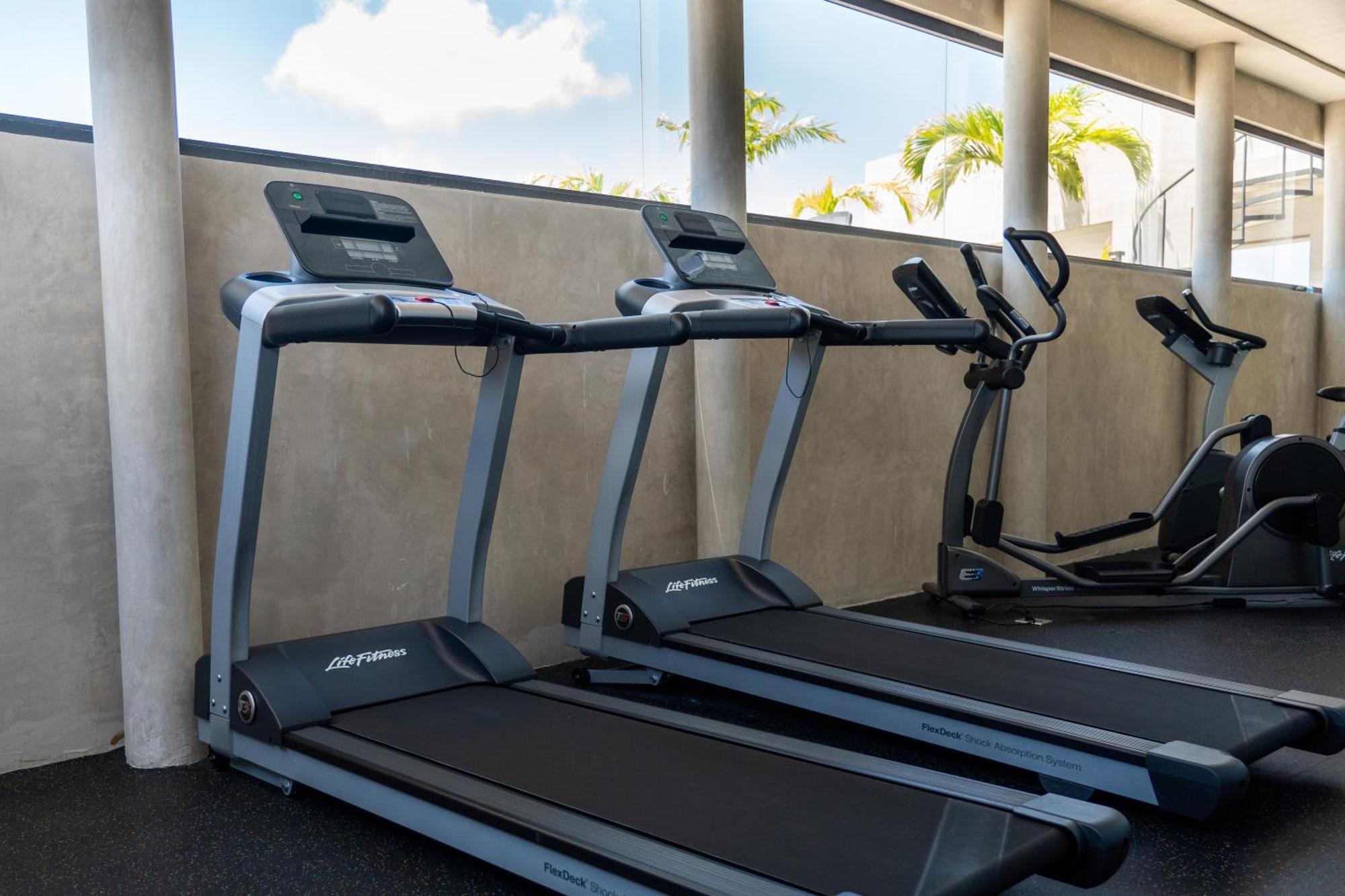 Fancy 3 Bedroom Apartments In Downtown Playa Rooftop Pool Gym Playa del Carmen Zewnętrze zdjęcie